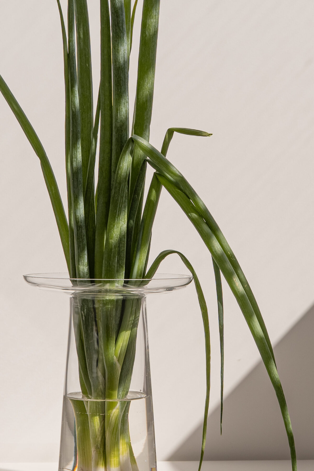 Ваза HALO, прозора - Зображення 5